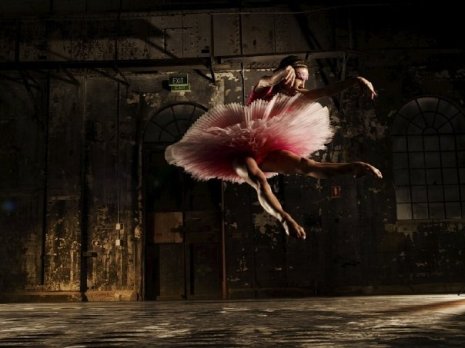 Teags Pink Tutu Vogue